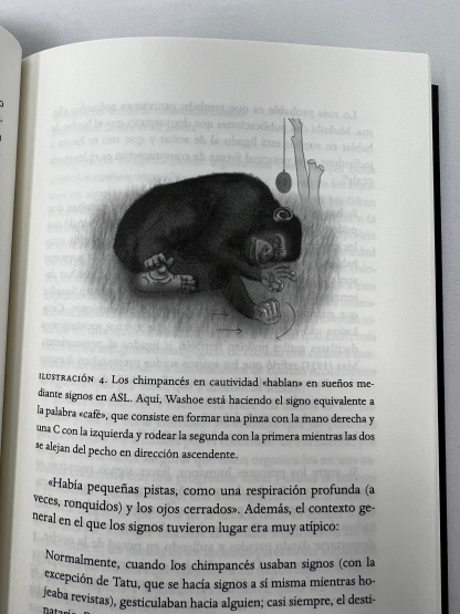 Cuando los animales sueñan - Imagen 5