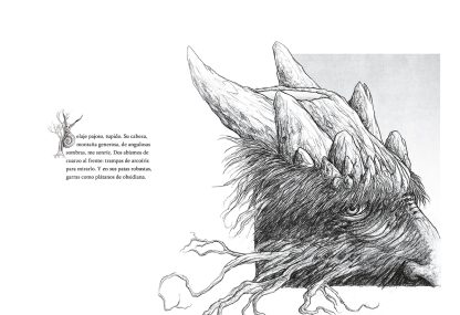 Animal - Imagen 3
