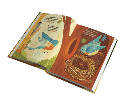 ¿Qué esconde el nido de un pájaro? - Imagen 3