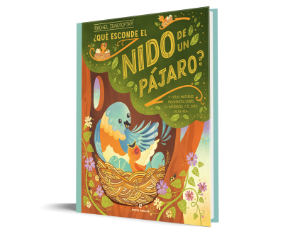 ¿Qué esconde el nido de un pájaro? - Imagen 2